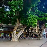 Miramar 8 度假居 *