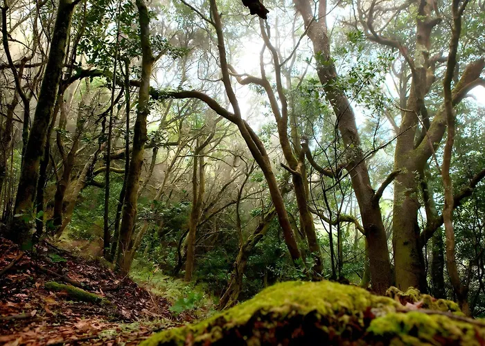 Σπίτι διακοπών Miramar 8 San Sebastián de la Gomera