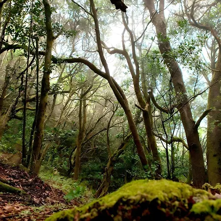 Casa de Férias Miramar 8 San Sebastián de la Gomera
